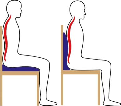 Sitz- und Rückenkissen 